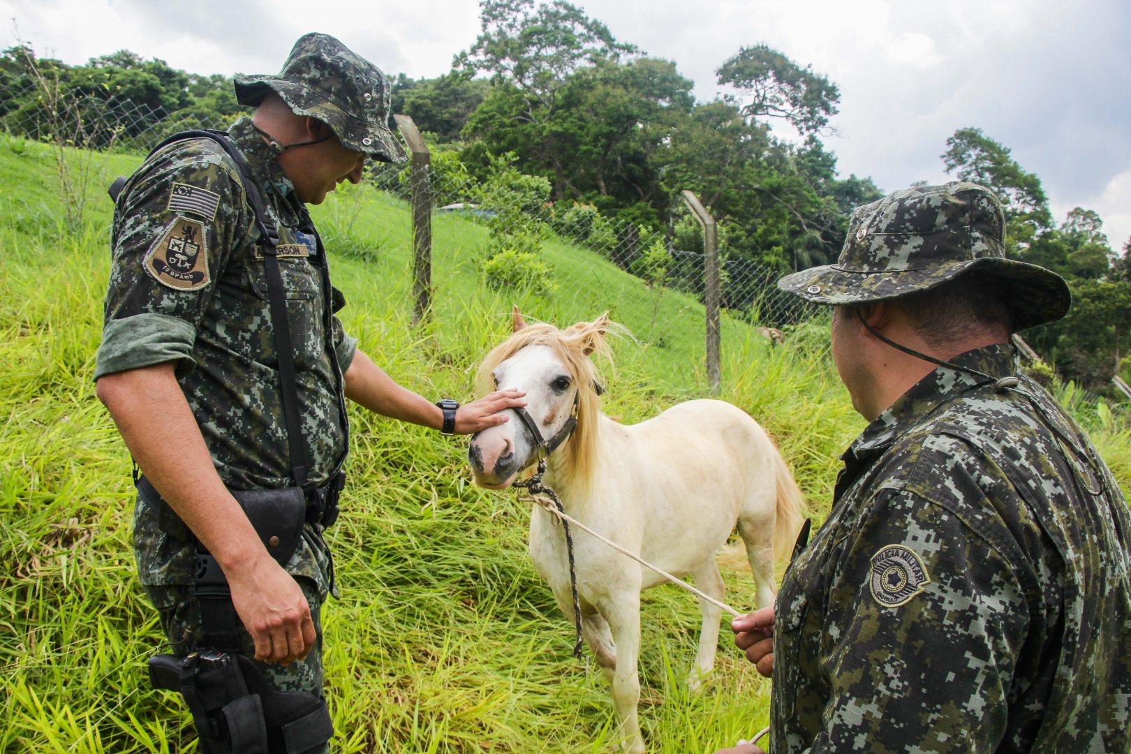 Homem é multado em R$ 3 mil por maus-tratos de animais em Itapevi